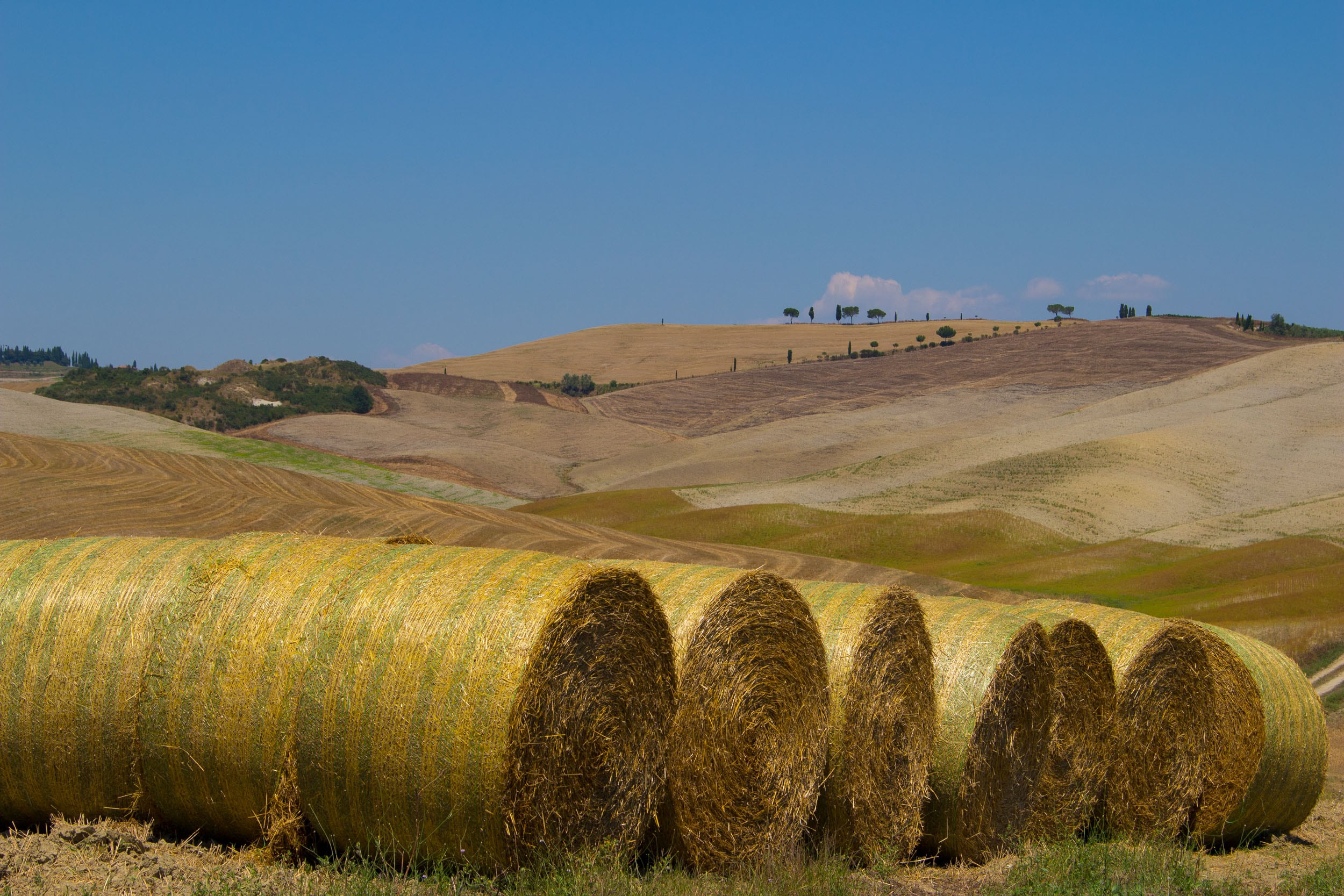 Panorama estivo della Valle © A. Cambone, R. Isotti - Homo Ambiens / Touring Club Italiano