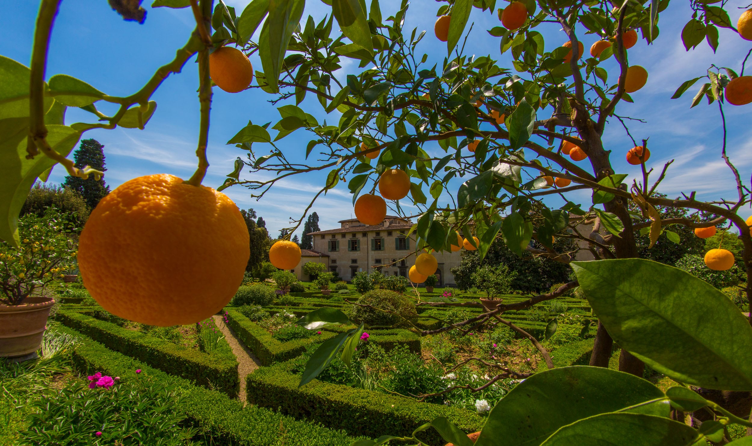 Giardino di Villa di Castello © A.Cambone, R.Isotti u2013 Homo ambiens/Touring Club Italiano