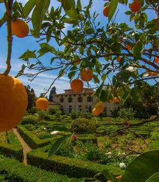 Giardino di Villa di Castello © A.Cambone, R.Isotti u2013 Homo ambiens/Touring Club Italiano