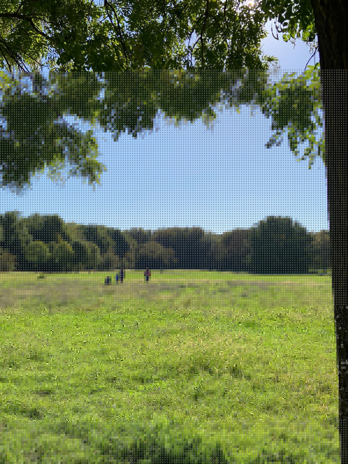 Fotogallery 2