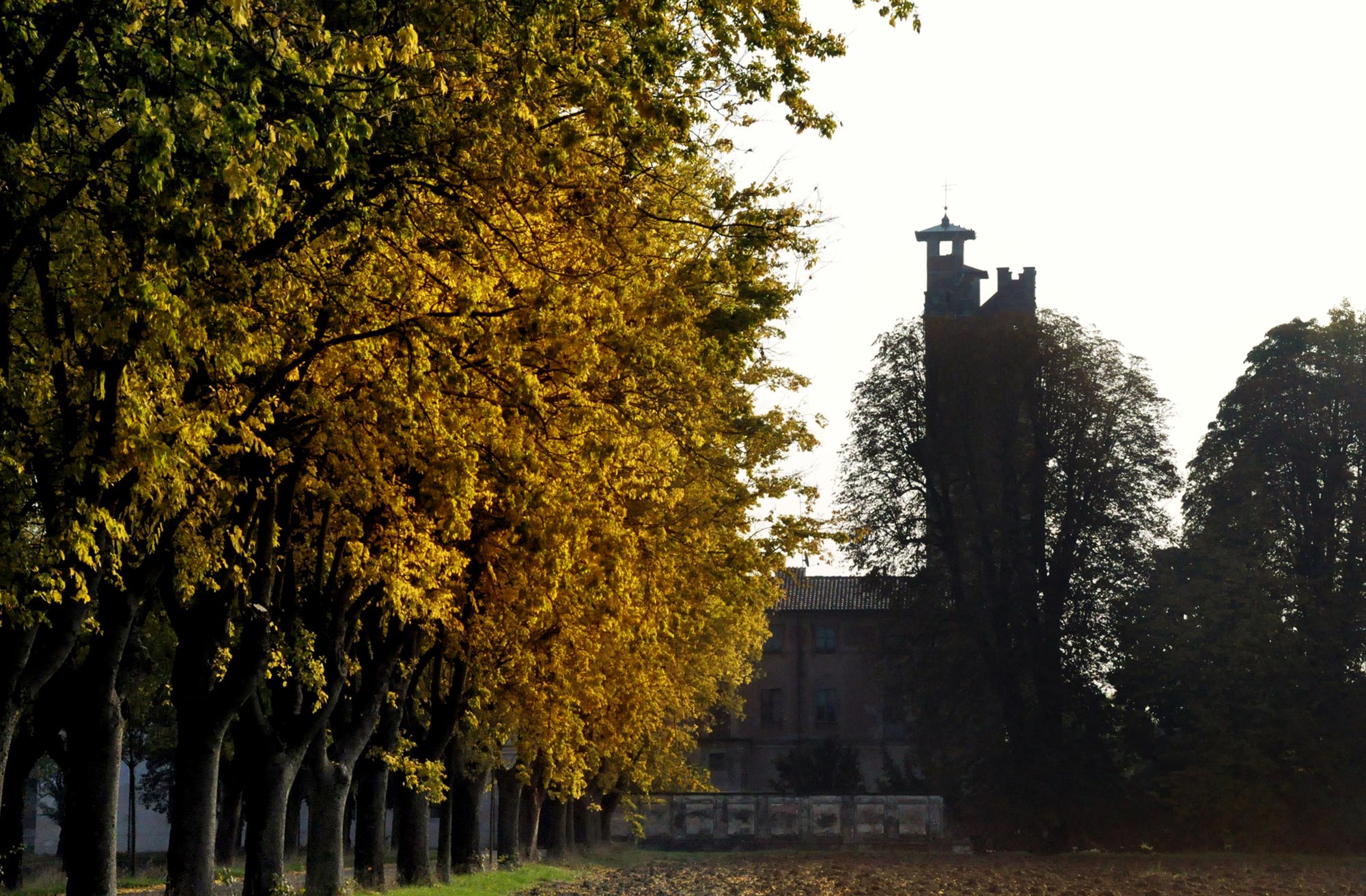 Fotogallery 3