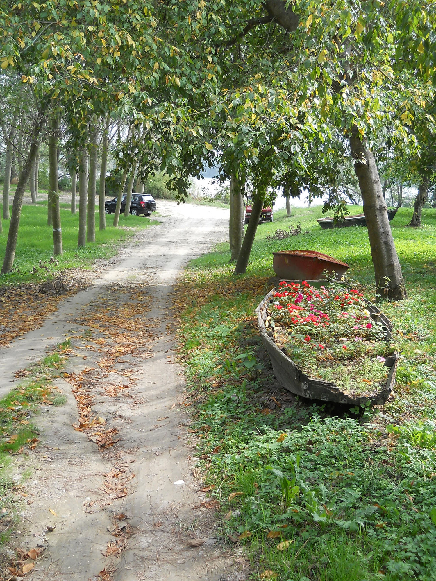Fotogallery 4
