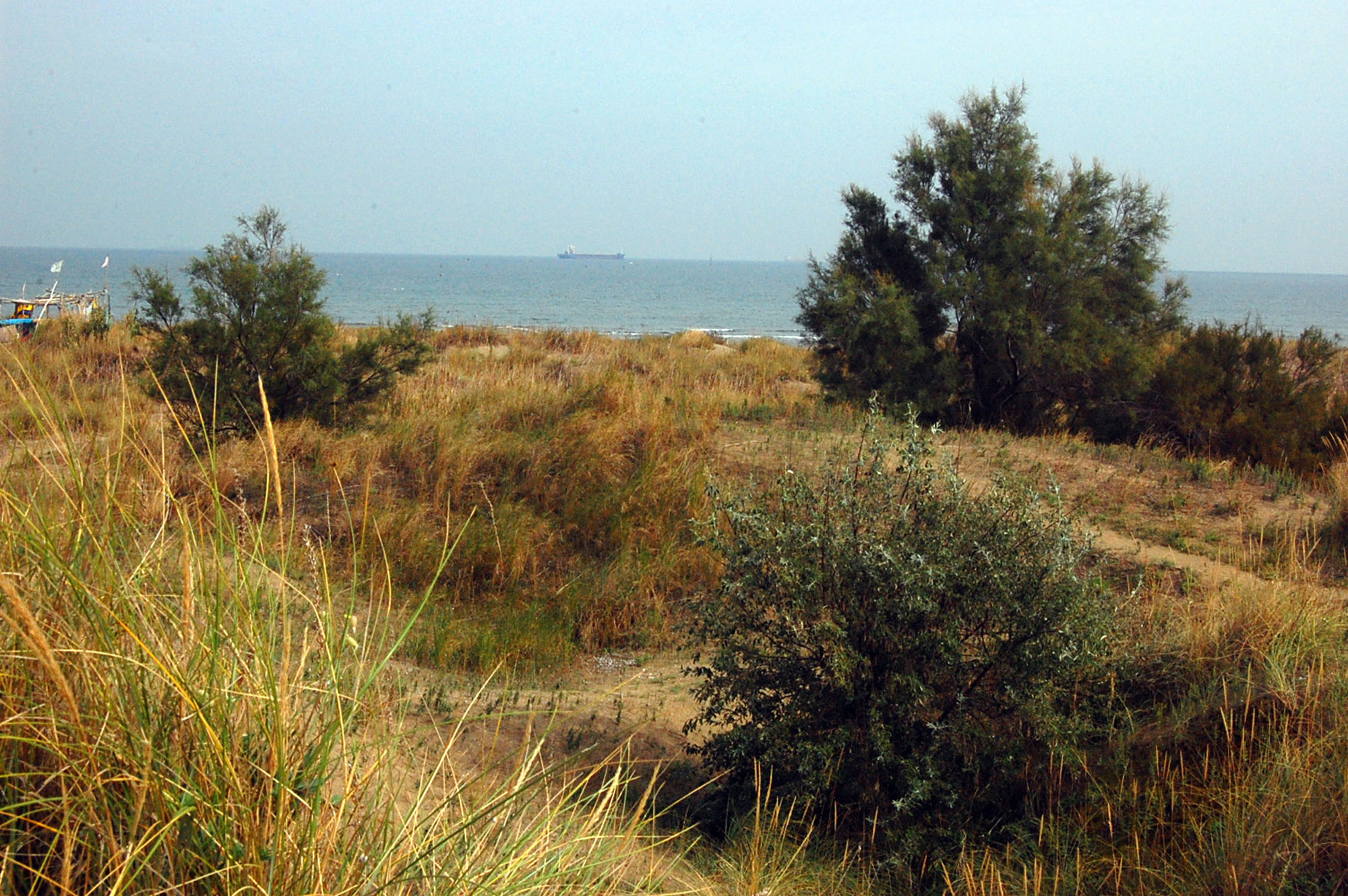 Fotogallery 11